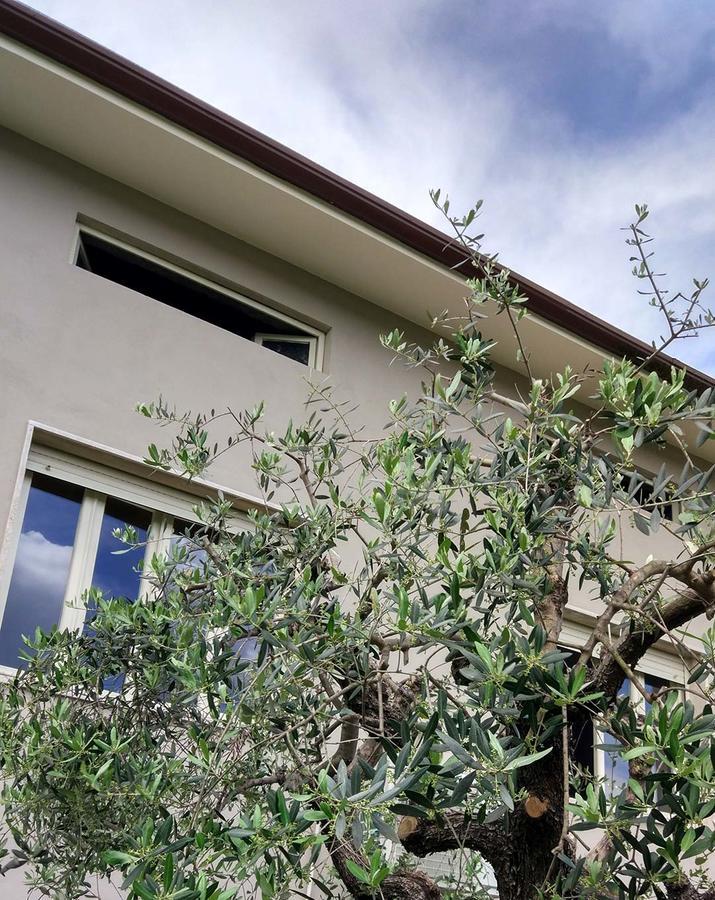 ルッカ La Locanda Francigena Bed & Breakfast エクステリア 写真